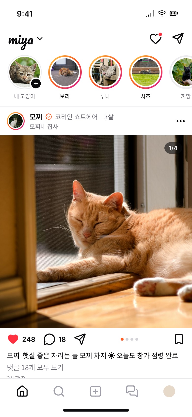고양이 스토리와 사진 피드가 보이는 MIYA 홈 화면